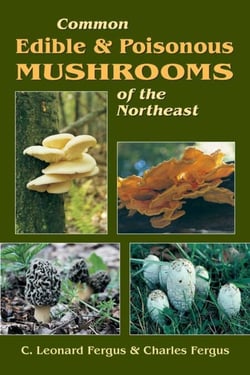 Common Edible &amp; Poisonous Mushrooms of the Northeast
