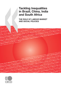Tackling Inequalities in Brazil, China, India and South Africa 2010 - The Role of Labour Market and Social Policies