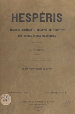 Objets préhistoriques de Dchîra