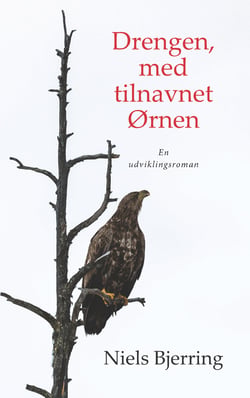 Drengen, med tilnavnet Ørnen - En udviklingsroman