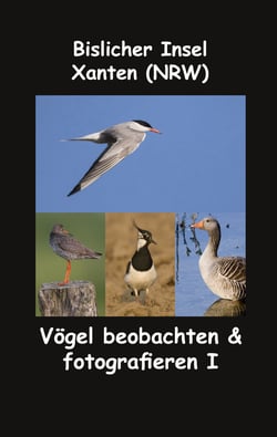 Bislicher Insel - Xanten (NRW) - Vögel beobachten &amp; fotografieren I