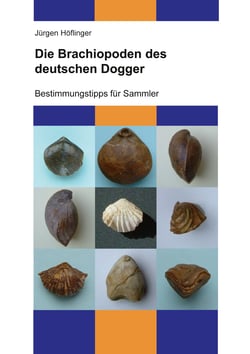 Die Brachiopoden des deutschen Dogger - Bestimmungstipps für Sammler
