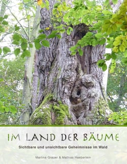 Im Land der Bäume - Sichtbare und unsichtbare Geheimnisse im Wald