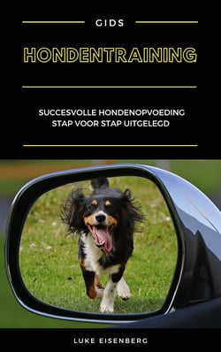Hondentraining - Succesvolle Hondenopvoeding Stap Voor Stap Uitgelegd (Gids Voor Hondenopvoeding En Hondentraining)