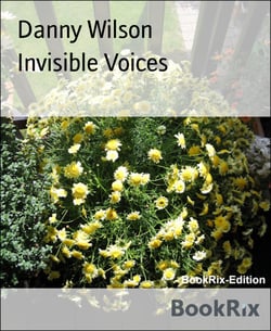 Invisible Voices