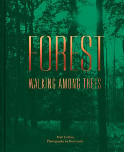 Forest - Walking among trees