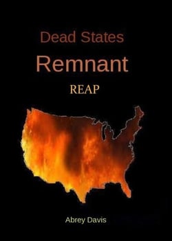 Dead States: Remnant REAP - Dead States, #1