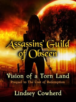 The Assassins' Guild of Obseen: Vision of a Torn Land - Assassins' Guild of Obseen, #1