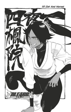 Bleach - T18 - Chapitre 157 - Cat And Hornet