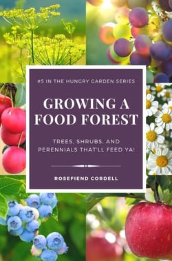 Growing a Food Forest – Trees, Shrubs, &amp; Perennials That’ll Feed Ya! - The Hungry Garden, #5