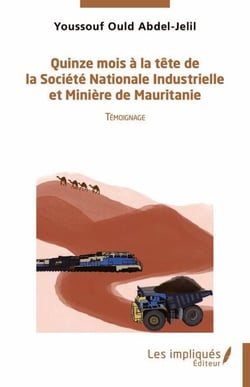 Quinze mois à la tête de la Société Nationale Industrielle et Minière de  Mauritanie - Témoignage