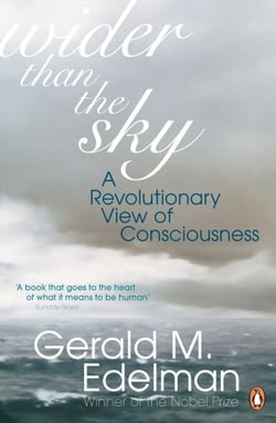 Wider Than the Sky - A Revolutionary View of Consciousness