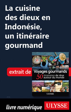 La cuisine des dieux en Indonésie - Un itinéraire gourmand