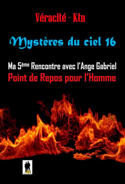 Mystères du ciel Tome 16 - Ma 5ème rencontre avec l’ange Gabriel, Point de repos pour l’homme