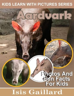 Aardvarks Photos and Fun Facts for Kids - Kids Learn With Pictures, #111