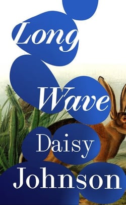 Long Wave - The extraordinary new novel from Booker Prize-shortlisted Daisy Johnson
