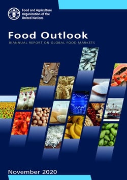 Food Outlook – Biannual Report on Global Food Markets. November 2020