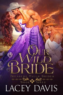 Our Wild Bride - Treasure Falls Brides, #3