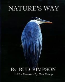 Nature's Way: The Great Blue Heron - Nature's Way