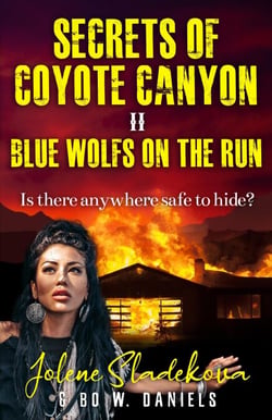 Secrets of Coyote Canyon II - Blue Wolfs on the Run - Secrets of Coyote Canyon Trilogy, #2