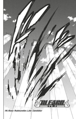 Bleach - T17 - Chapitre 144 - Rosa Rubicundor, Lilio Candidior