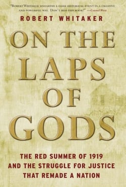 On the Laps of Gods - The Red Summer of 1919 and the Struggle for Justice That Remade a Nation