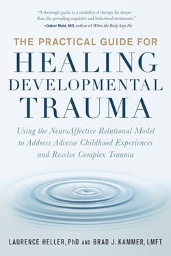 The Practical Guide for Healing Developmental Trauma - Using the NeuroAffective Relational Model to Address Adverse Childhood Experiences and Resolve Complex Trauma