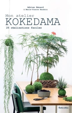 Mon atelier Kokedama - 25 réalisations faciles