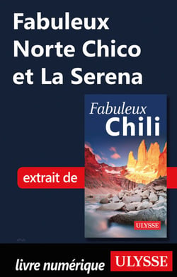 Fabuleux Norte Chico et la Serena (Chili)