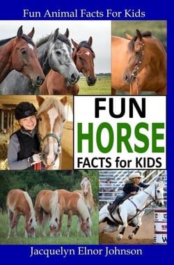 Fun Horse Facts for Kids - Fun Animal Facts For Kids