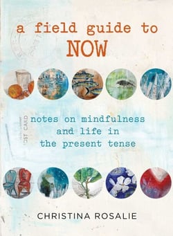 Field Guide to Now - Notes On Mindfulness And Life In The Present Tense