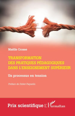 Transformation des pratiques pédagogiques dans l'enseignement supérieur - Un processus en tension