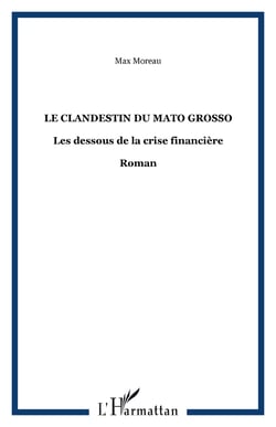 Le clandestin du Mato Grosso - Les dessous de la crise financière - Roman