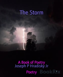 The Storm - A Book of Poetry