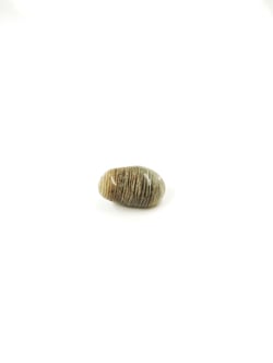 Pierre chlorite quartz fantôme - 2 à 4 cm