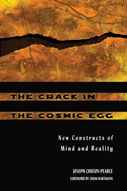 The Crack in the Cosmic Egg - New Constructs of Mind and Reality