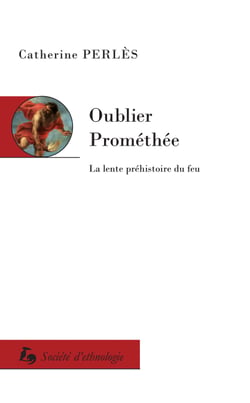 Oublier Prométhée - La lente préhistoire du feu