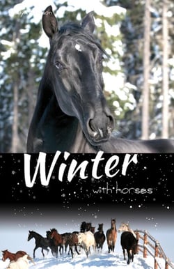 Winter with Horses - White Cloud Station, #7