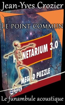 Le Point Commun - Le Funambule Acoustique, #31