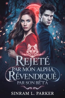 Rejeté par mon alpha revendiqué par son bêta - LA SÉRIE DU PACK DE LA CRÊTE NORD, #2