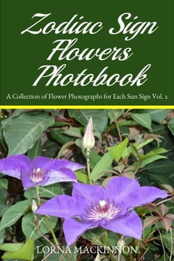 Zodiac Sign Flowers Photobook - A Collection Of Flower Photographs For Each Sun Sign Vol. 2 - Zodiac Sign Flowers Photobooks, #4