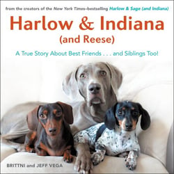 Harlow &amp; Indiana (and Reese) - Another True Story About Best Friends...and Siblings Too!