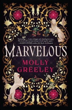 Marvelous - A Novel of Wonder and Romance in the French Royal Court