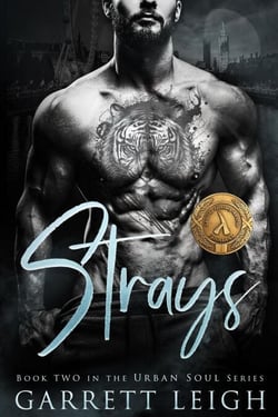Strays - Urban Soul, #2