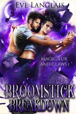 Broomstick Breakdown - Magic, Fur and Claws, #1