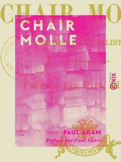 Chair molle - Roman naturaliste