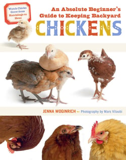 An Absolute Beginner's Guide to Keeping Backyard Chickens - Watch Chicks Grow from Hatchlings to Hens