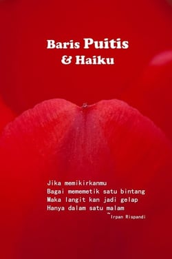 Baris Puitis &amp; Haiku