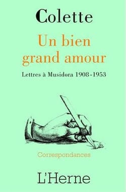 Un bien grand amour