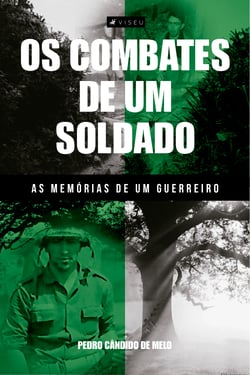 Os combates de um soldado - As memórias de um guerreiro